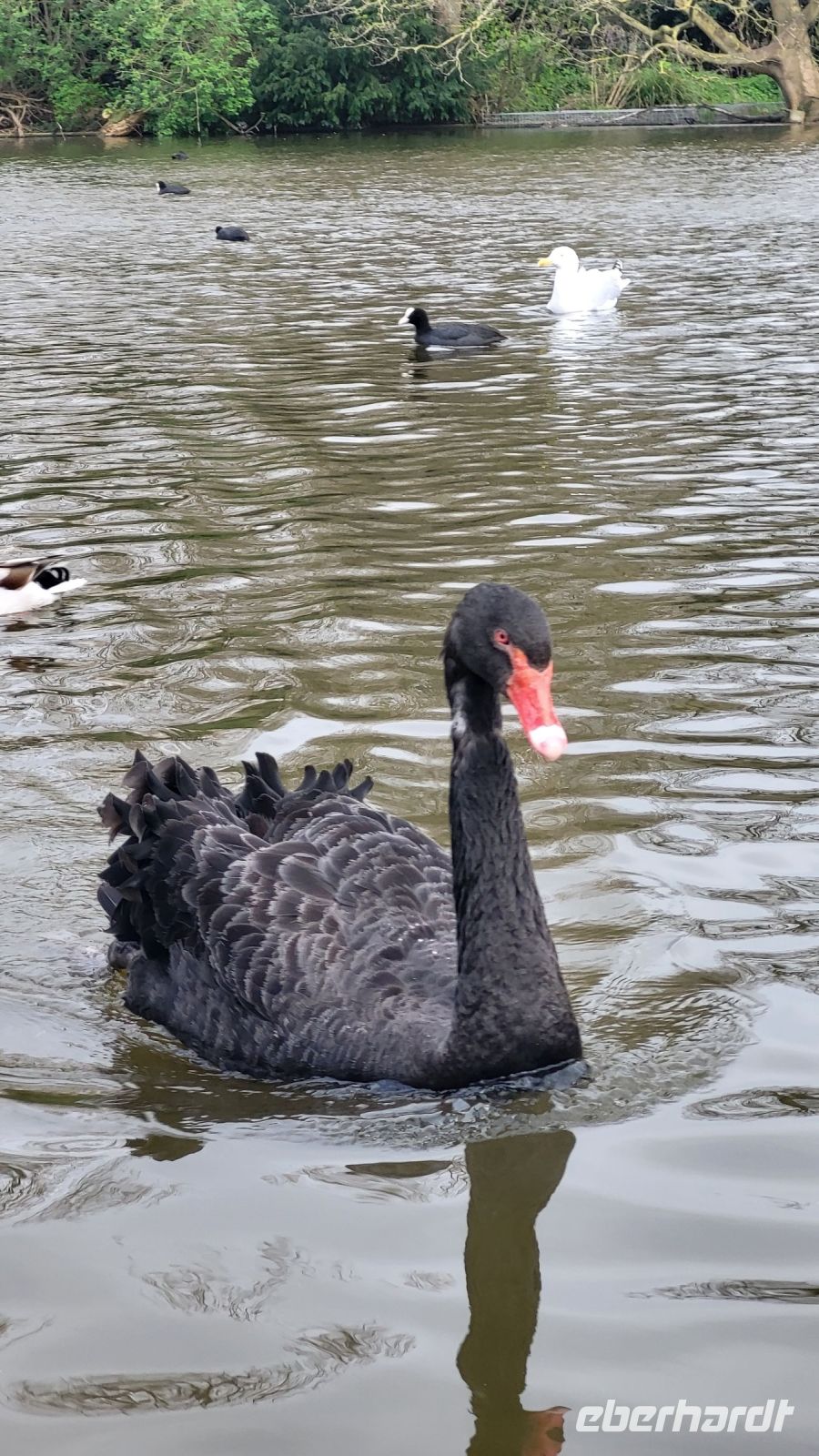 024 – London, St. James’s Park