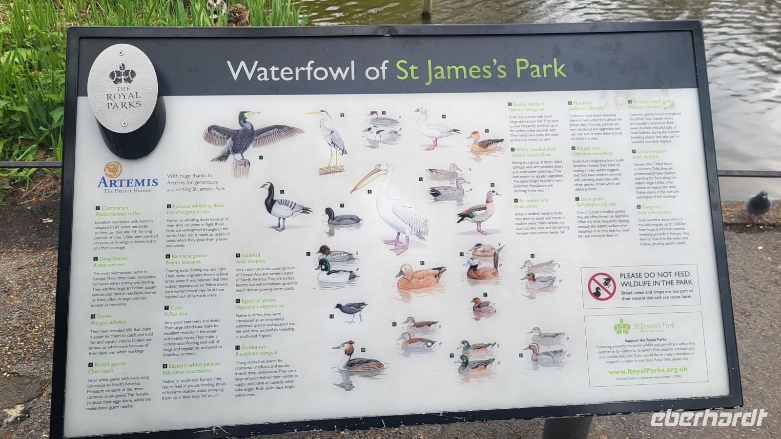 026 – London, St. James’s Park