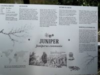 Zutaten im Gin - Bombay Saphire Distillery - Laverstoke