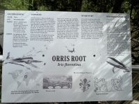 Zutaten für Gin - Erklärungswalk - Bombay Sapphire Distillery - Laverstoke