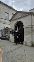 Horse Guards
