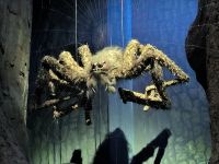 Warner Bros. Filmstudio. Panik?