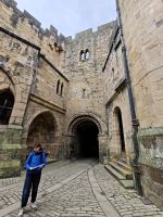 Alwnick Innenhof mit Merle