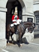 The horse Guard gehört zur traditionellen Wache um den Regierungsbezirk