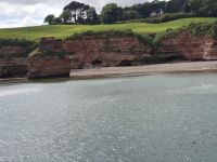 Jurassic Coast von Devon