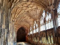 Gloucester Cathedral, Kreuzgang 