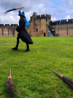 Die Besenflugprofessorin