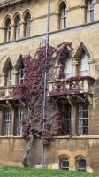 054 – Oxford, Christ Church College