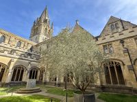 3. Tag: Tagesausflug nach Oxford – Christ Church College &ndash; &copy; Andreas Wolfsteller (Eberhardt TRAVEL)
