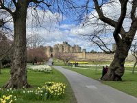 7. Tag: Zur Besenflugstunde im Alnwick Castle &ndash; &copy; Andreas Wolfsteller (Eberhardt TRAVEL)
