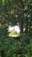 Lacock Abbey &ndash; &copy; Merle Decker (Eberhardt TRAVEL)