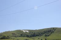 White Horse