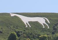 White Horse