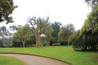 Country Park (Mount Edgecumbe)