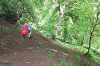 Wanderung Country Park