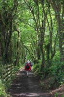 Wanderung zum Penlee Point