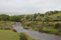 Dartmoor