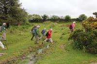 Wanderung durchs Dartmoor