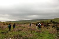 Wanderung durchs Dartmoor