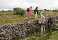 Wanderung durchs Dartmoor