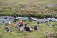 Rast im Dartmoor