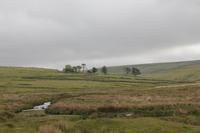 Blick zur einstigen Kaninchenfarm (Dartmoor)