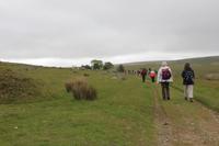 Wanderung zur Kaninchenfarm (Dartmoor)