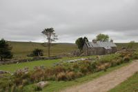 ehemalige Kaninchenfarm (Dartmoor)