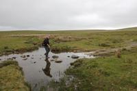 Stein für Stein im Dartmoor