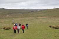 Wanderung durchs Dartmoor