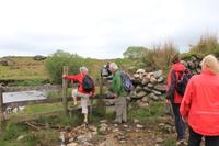 Wanderung durchs Dartmoor