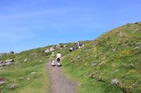 kleine Wanderung zur Geevor Tin Mine