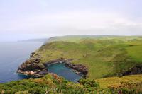 Bucht vor Boscastle