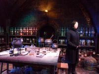 Der Meister der Zaubertränke