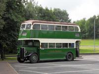 eine Etage fehlt und lila müsste er sein