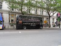 Hier war sicher ein lila Bus das Vorbild