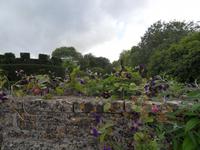 Versteckte Gärten laden zum Träumen ein