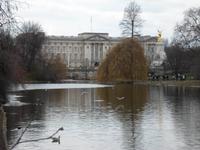 Blick zum Buckingham Palace