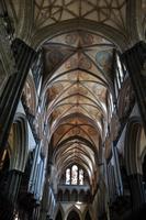 Gotisches Kreuzgewölbe in der Salisbury Cathedral