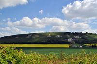 Fovant Badges, Wiltshire
