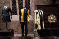 Kostüme der Hufflepuffs
