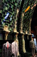 die Kamine im Zaubereiministerium