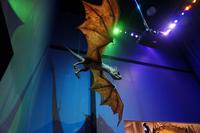 der Hornschwanz-Drache