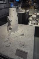 das Haus der Lovegoods