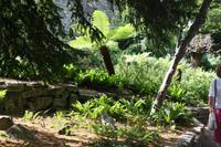 Garten bei der St. Mary´s Abbey in York