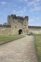 links vom Tor hat Harry besenfliegen bei Madame Hooch gelernt