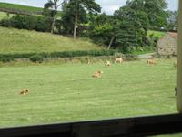 74 North York Moors