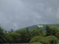 Westbury White Horse