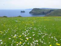 Tintagel - Boscastle
