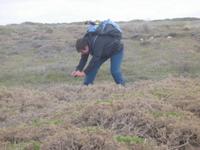 Kynance Cove - Lizard Point - Cadgwith